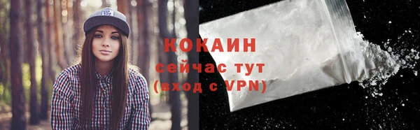 молекула духа Богородск