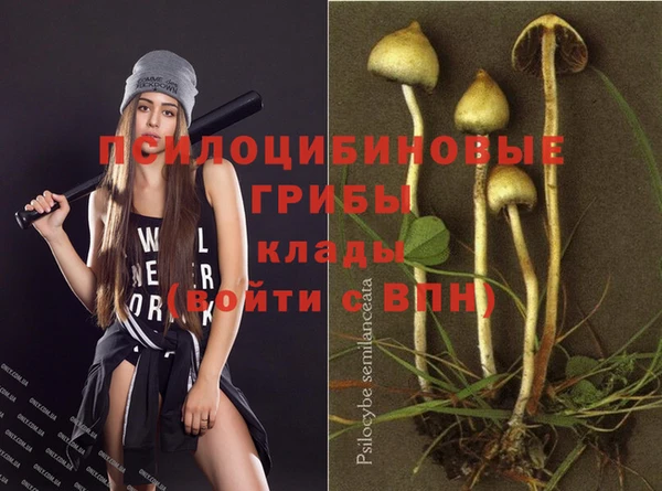 молекула духа Богородск