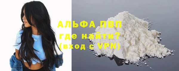 эйфоретик Богданович