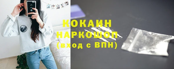 эйфоретик Богданович