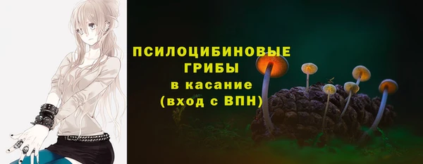 молекула духа Богородск