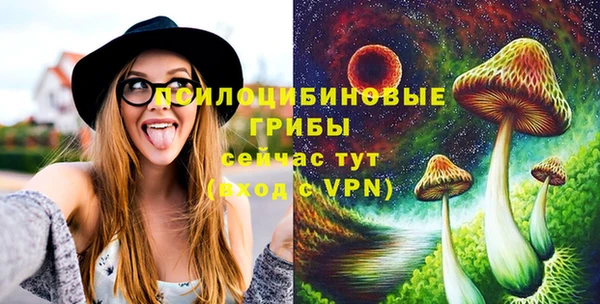 эйфоретик Богданович