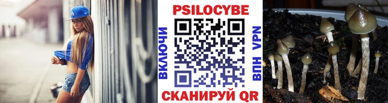 Галлюциногенные грибы прущие грибы хочу наркоту Верещагино